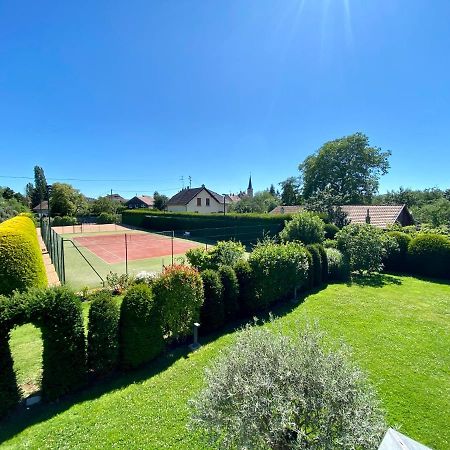 "Ma Vie La" Alsace Bed & Breakfast Kingersheim Екстериор снимка